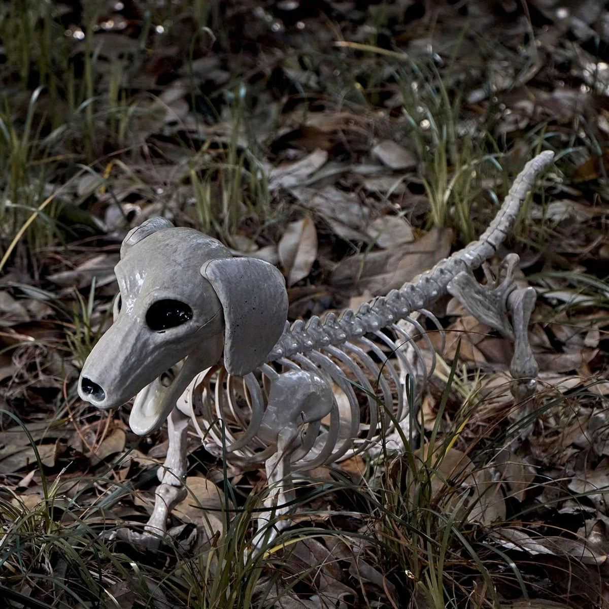 Posable Halloween Wiener Dog Skeleton Indoor Outdoor Home Decoration