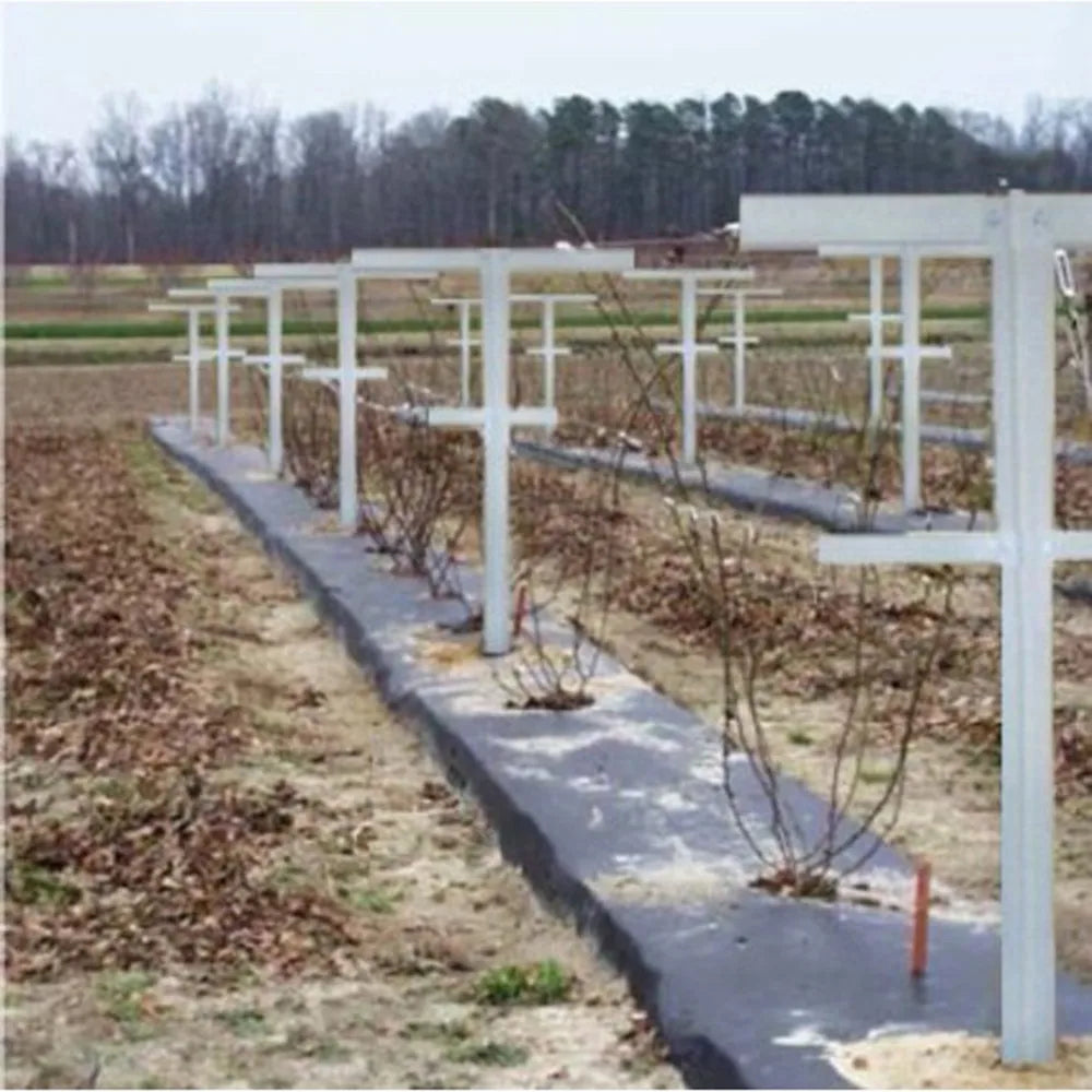 84 in. H Fiberglass Raspberry Trellis and Stake Vineyard Trellis (Set of 2)