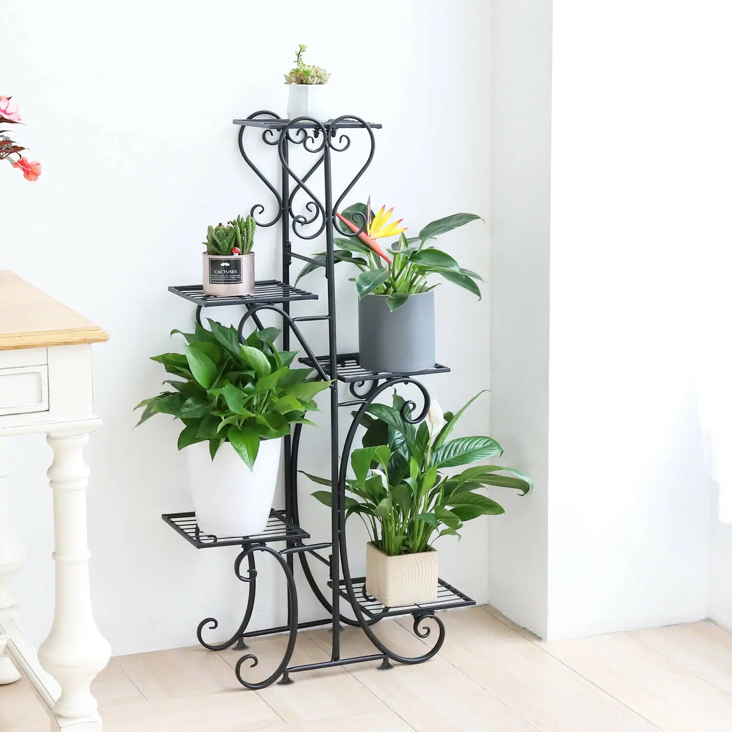 BINGOPAW Six Tier Plant Stand Indoor Iron Display Rack Outdoor