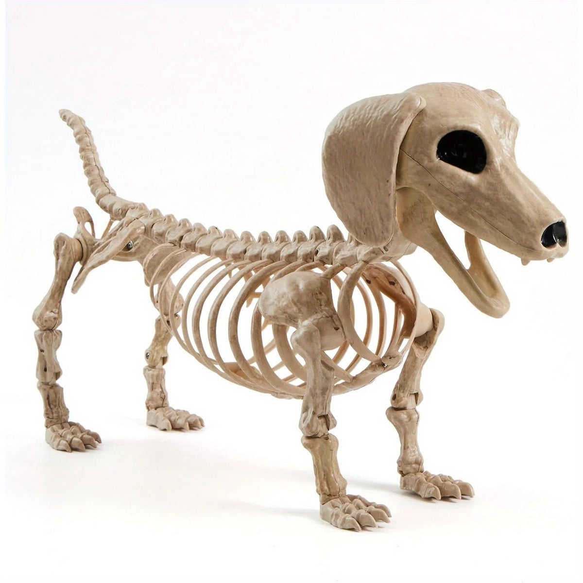 Posable Halloween Wiener Dog Skeleton Indoor Outdoor Home Decoration
