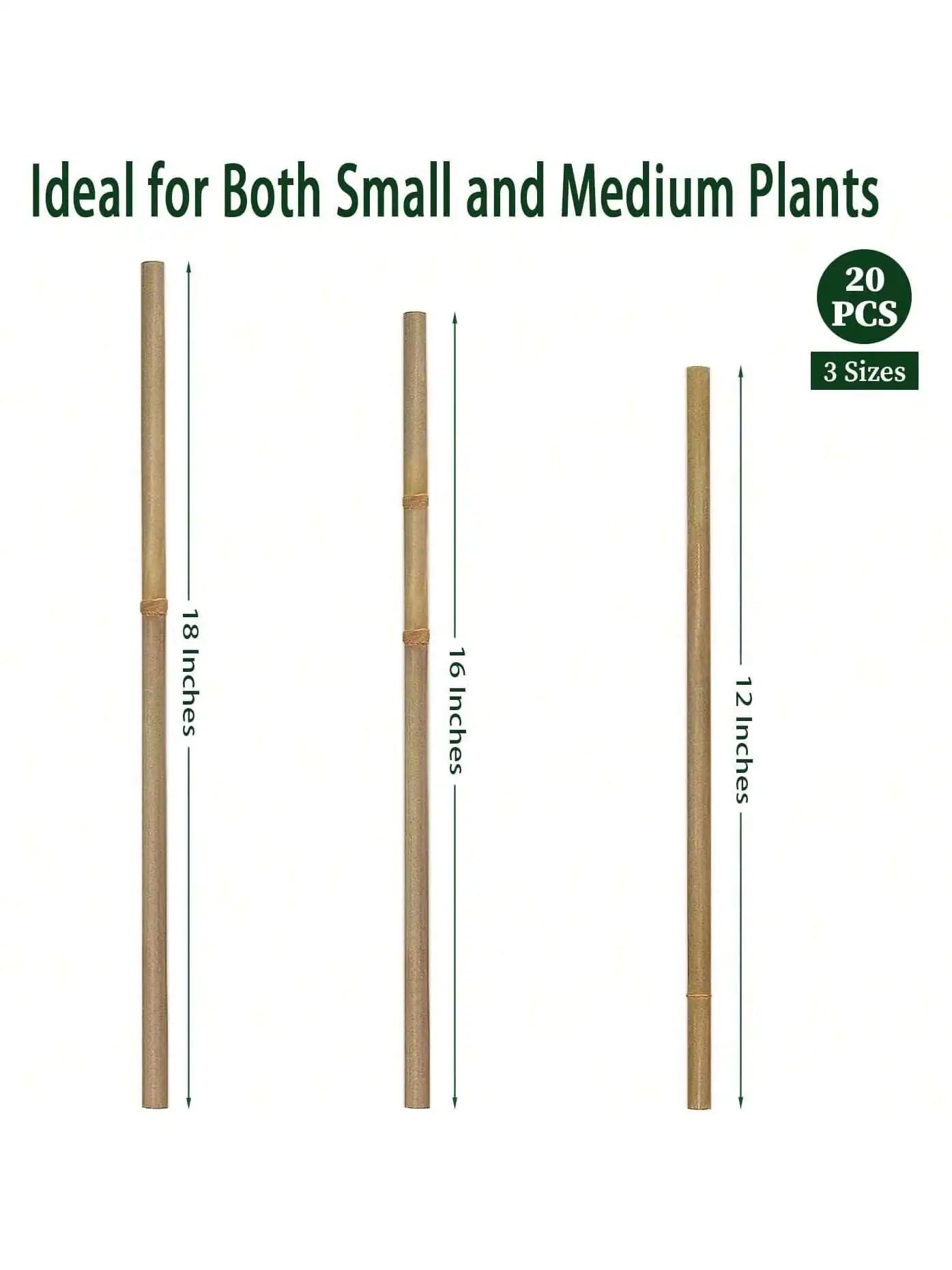 Eco Bamboo Garden Stakes Set Of 20 For Climbing Plants