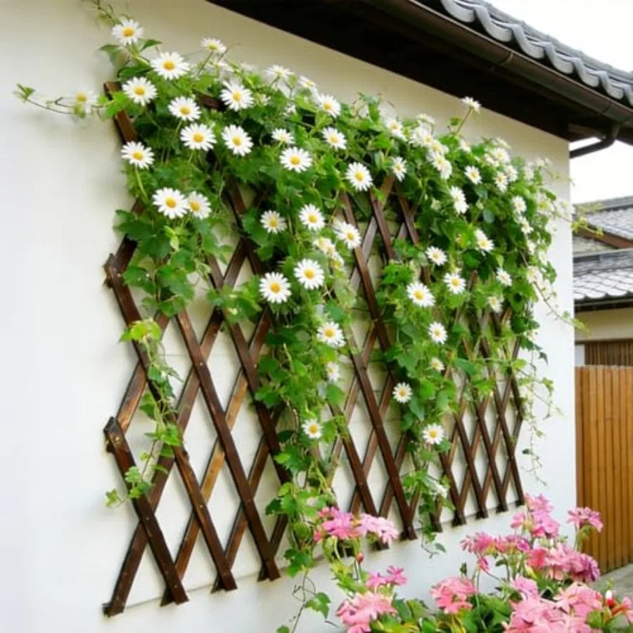 Expandable Wooden Garden Trellis Lattice Fence Panel For Climbing Plants