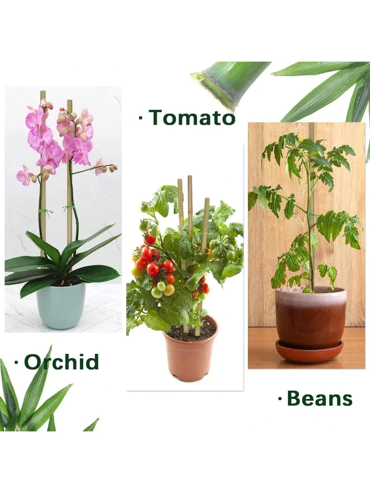 Eco Bamboo Garden Stakes Set Of 20 For Climbing Plants