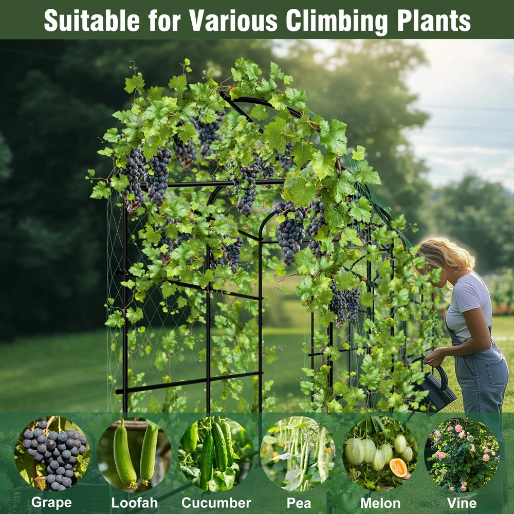 Wisfor U Shaped Garden Trellis Frame For Climbing Vegetables And Flowers