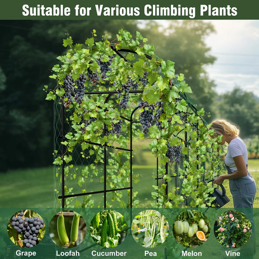 Wisfor U-Shaped Garden Trellis For Climbing Vegetables And Flowers