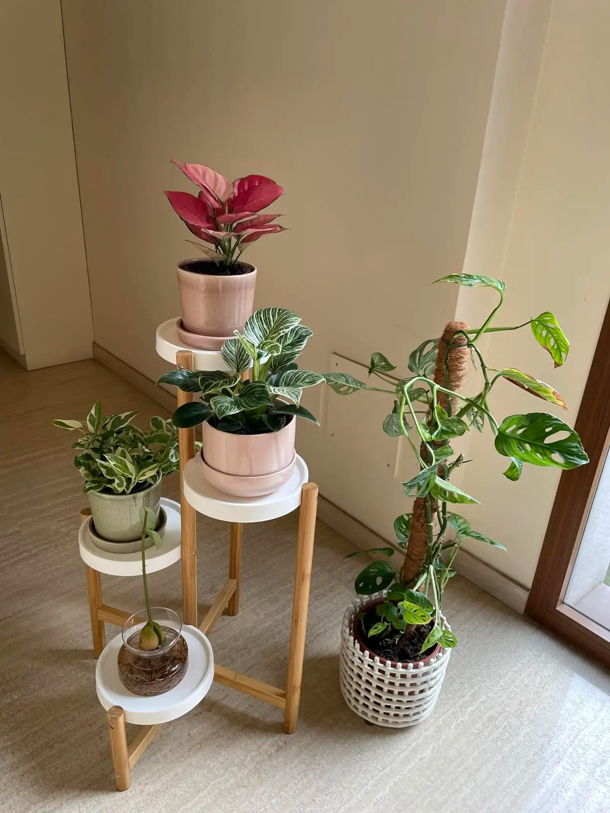 Wisfor 4 Tier Bamboo Plant Display Stand Tall Flower Rack