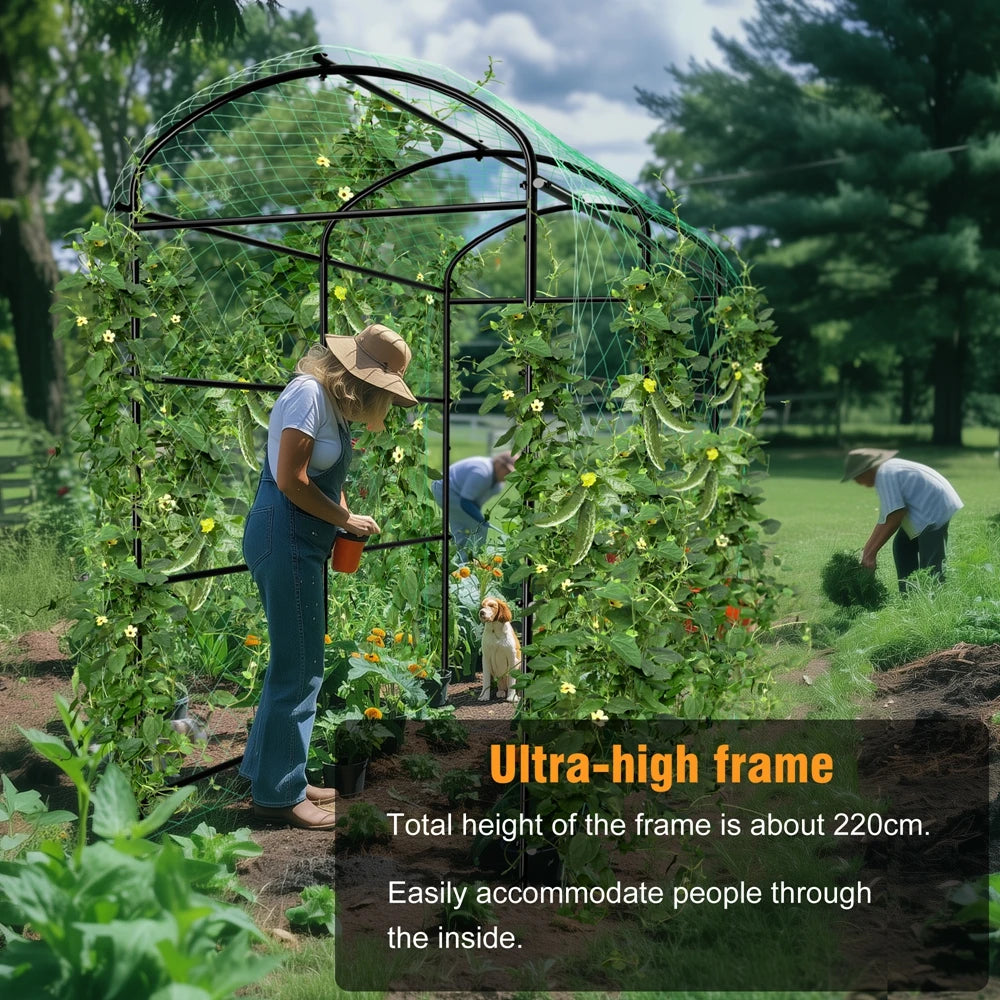 Wisfor U-Shaped Garden Trellis For Climbing Vegetables And Flowers