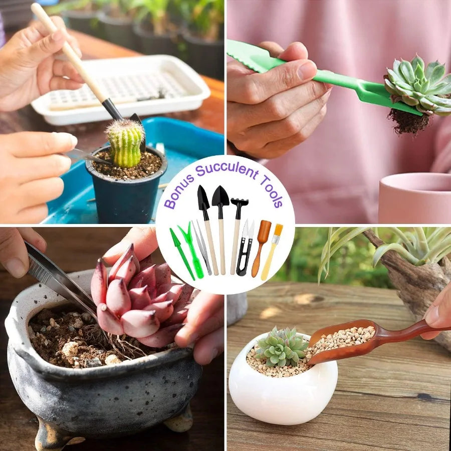 83Piece Garden Tools Set with Succulent Care Tools Heavy Duty Aluminum Gardening Tools for Outdoor and Indoor Plant Maintenance