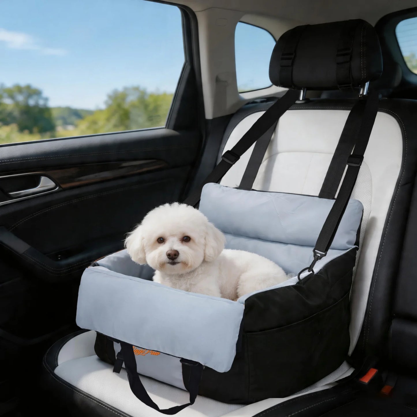 BINGOPAW Dog Car Seat For Small Dogs Washable Carrier Bed