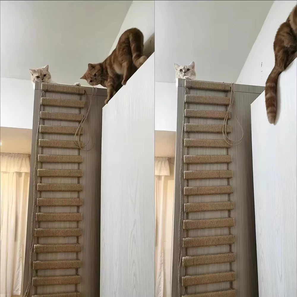 Cat Bridge DIY Scratching Ladder For Cage And Tree Furniture