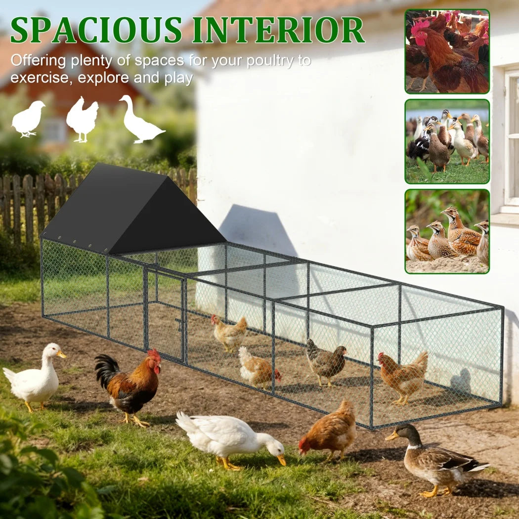 BORWART Chicken Coop Cage Outdoor Poultry Pen With Nylon Netting