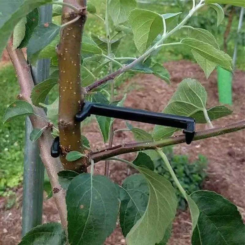 Fruit Tree Branch Puller Plant Vines Support Clips Twisting Shapers  Twist Styling Bonsai Curved Elbow Garden Too