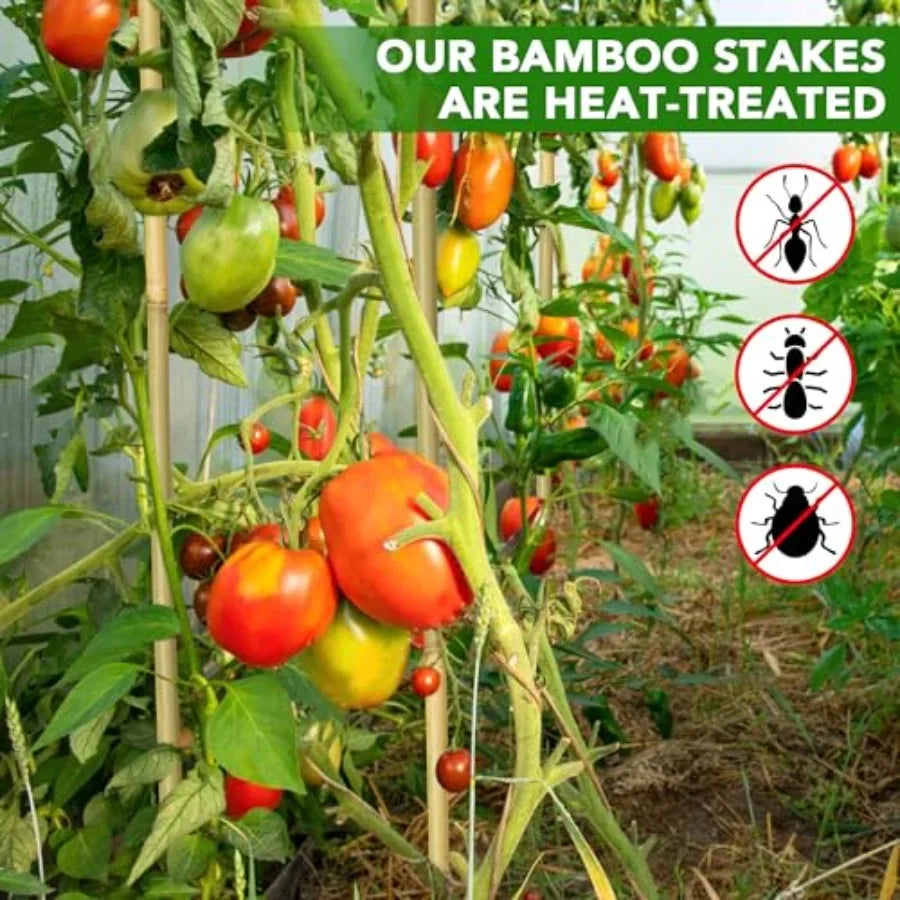 Natural Bamboo Garden Stakes 70 Pcs Plant Supports