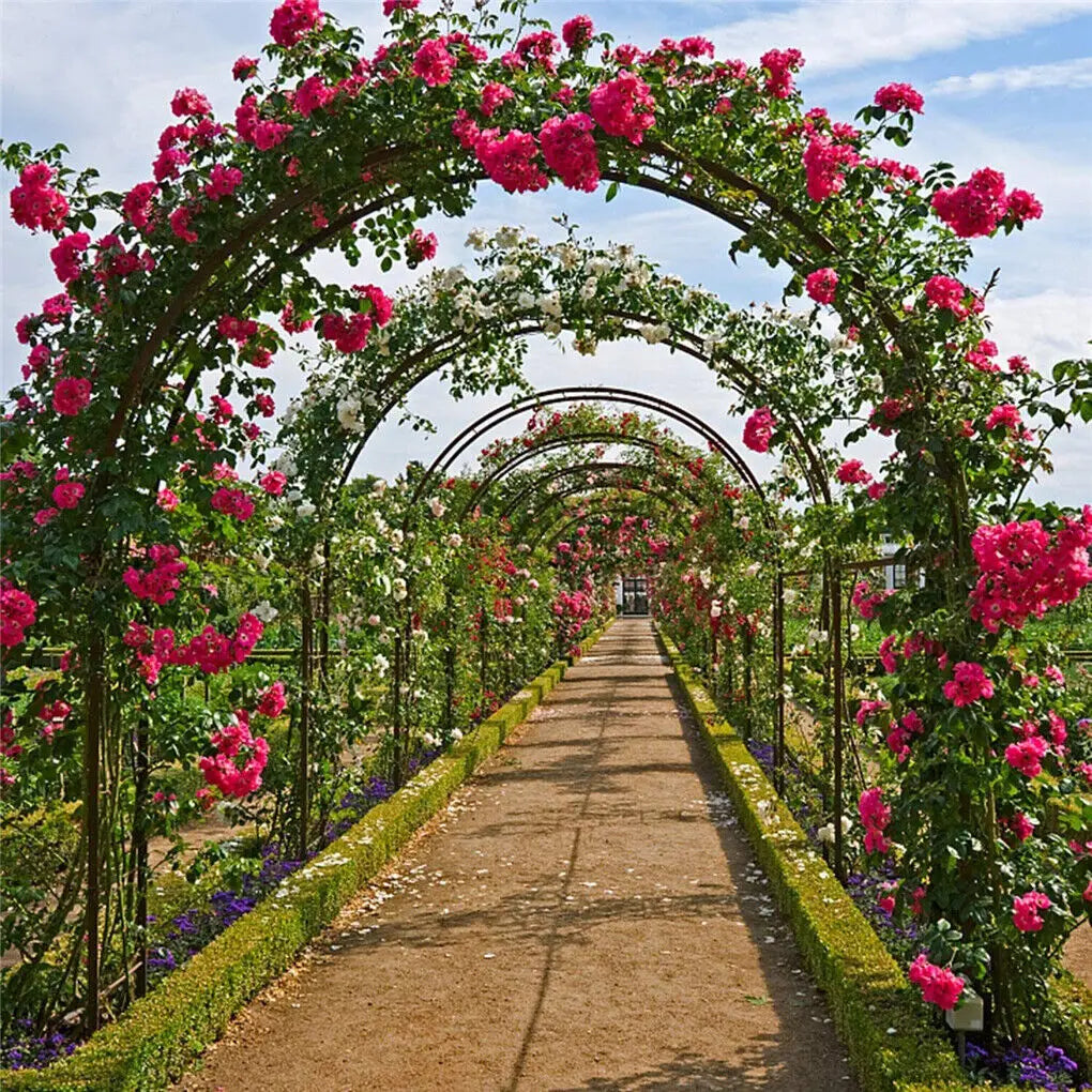 Heavy Duty Metal Garden Arch Rose Archway Trellis For Outdoors
