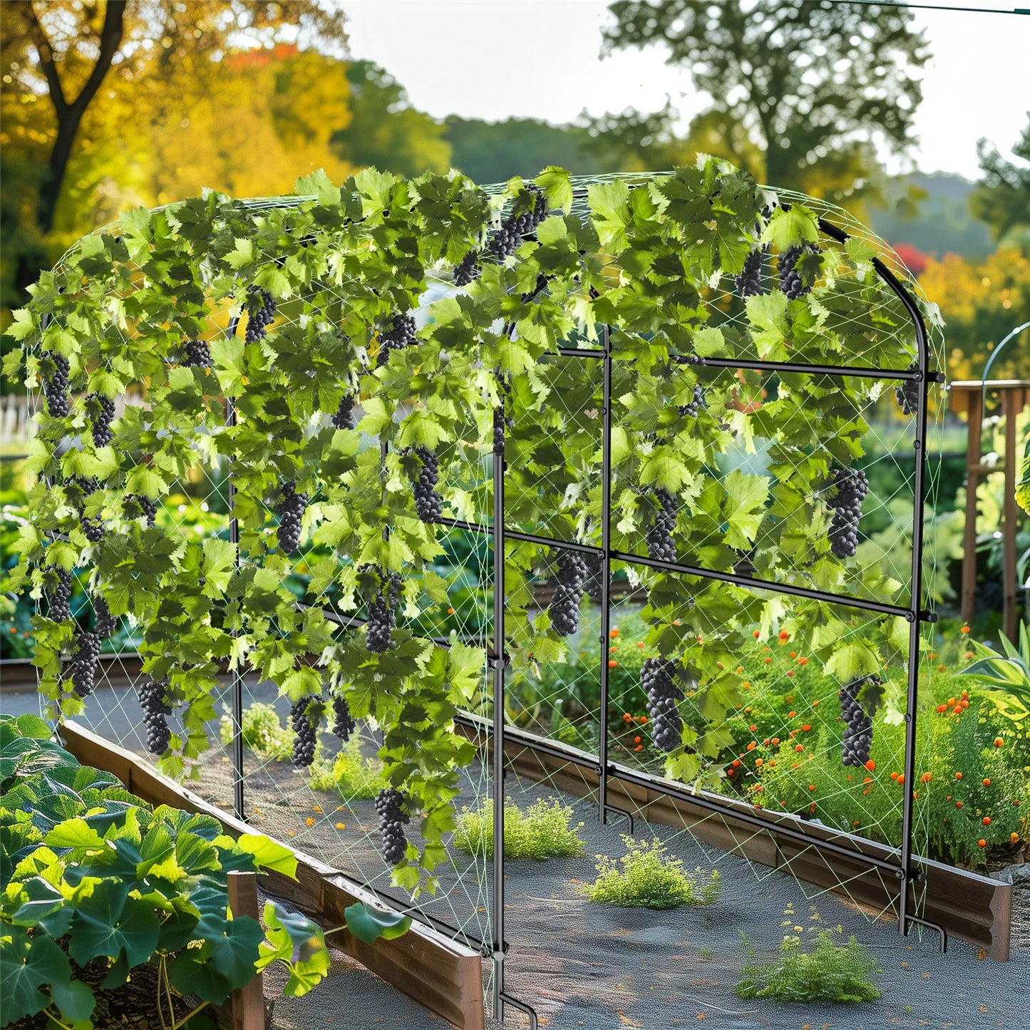 BINGOPAW Cucumber Trellis Metal Garden Arch Plant Support