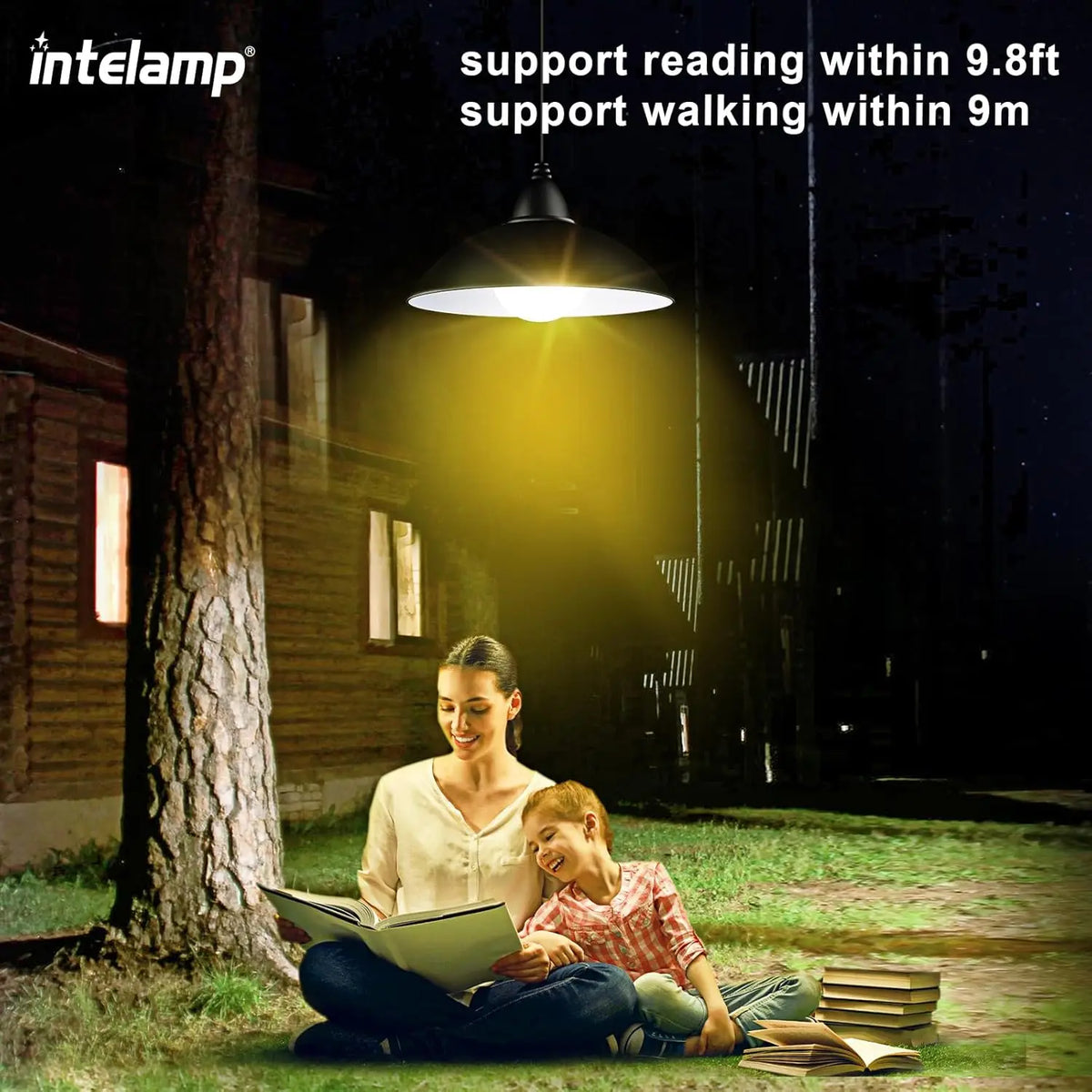 Intelamp Solar Pendant Lights With Remote For Indoor Outdoor Use