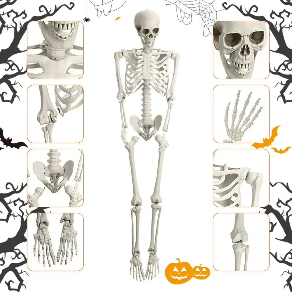 Poseable Plastic Halloween Skeleton Prop Party Decoration