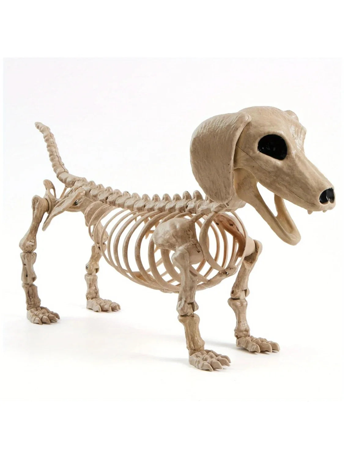 Posable Halloween Wiener Dog Skeleton Indoor Outdoor Home Decoration