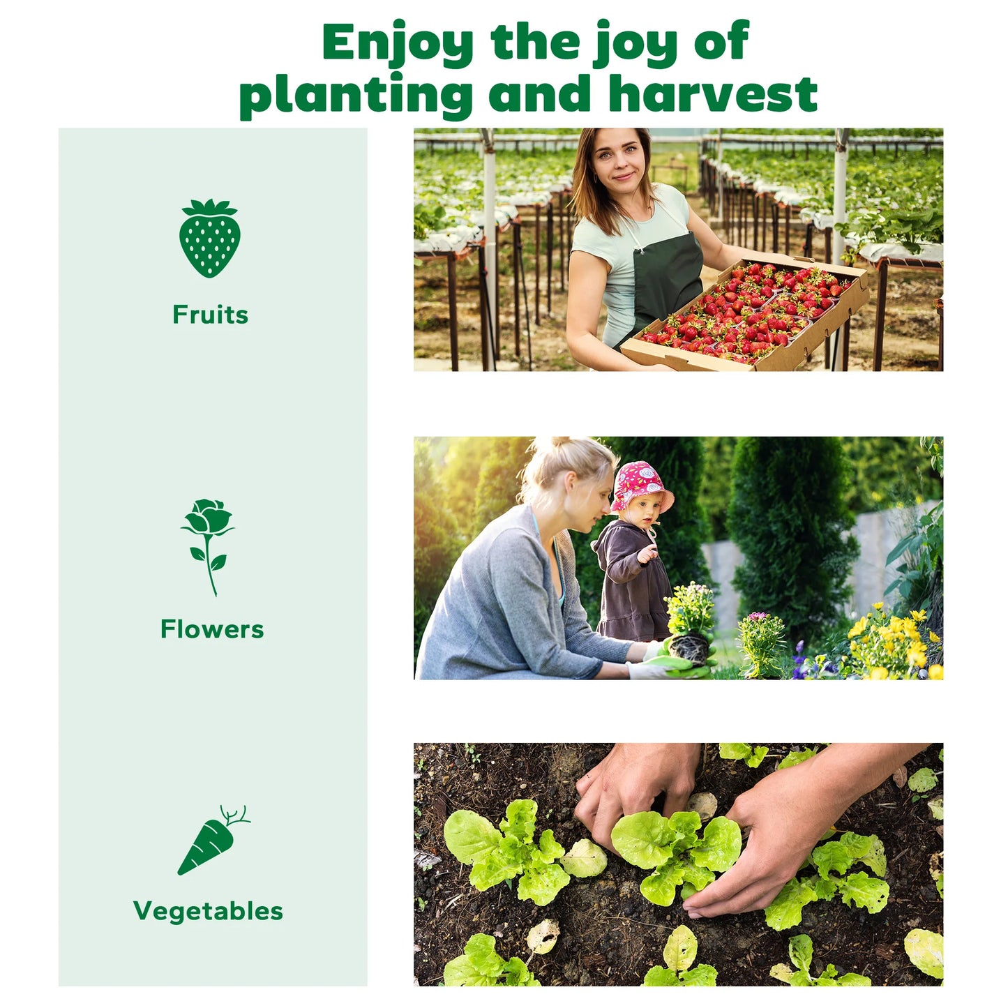 Raised Garden Bed With Greenhouse For Fresh Home Growing