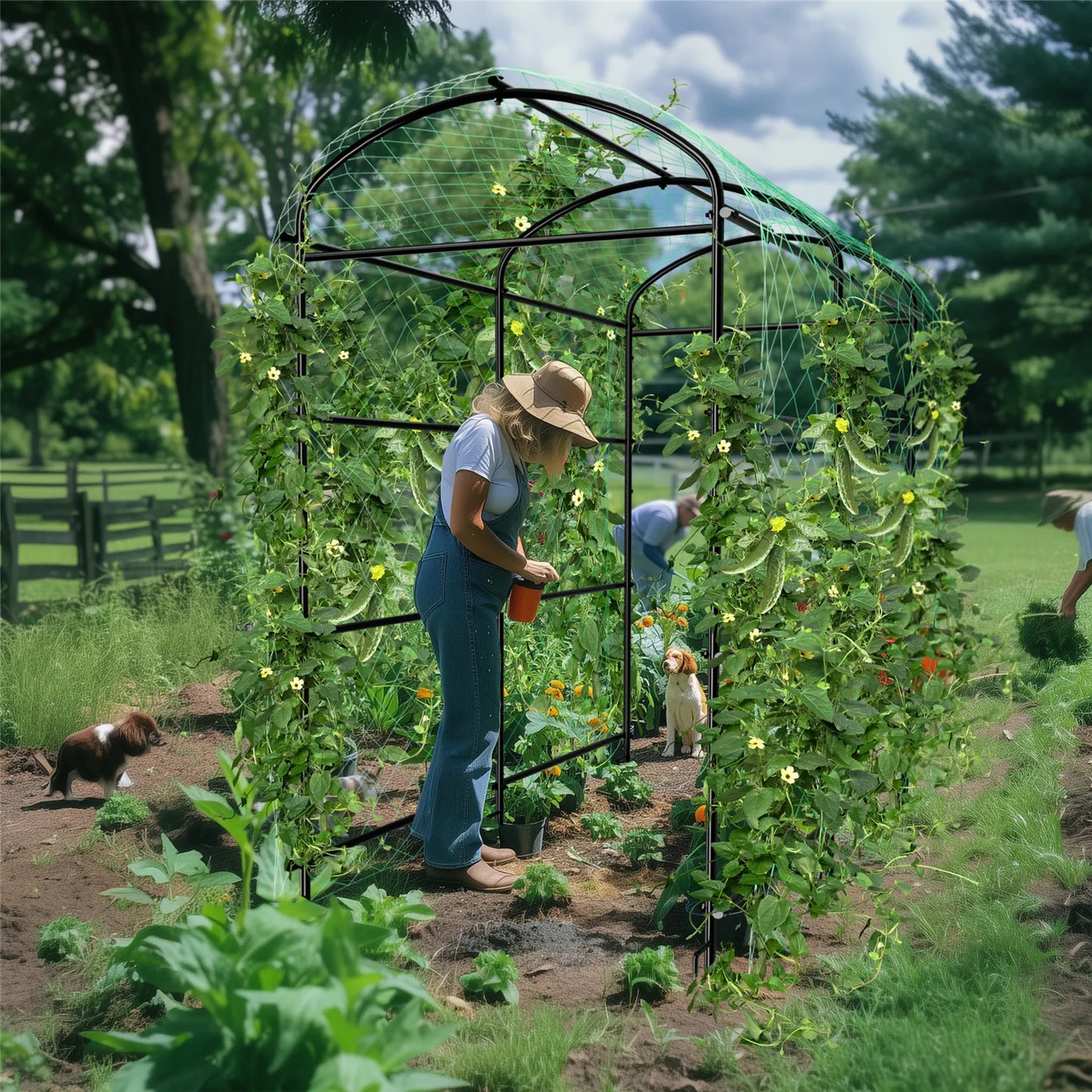 BINGOPAW Cucumber Trellis Metal Garden Arch Plant Support