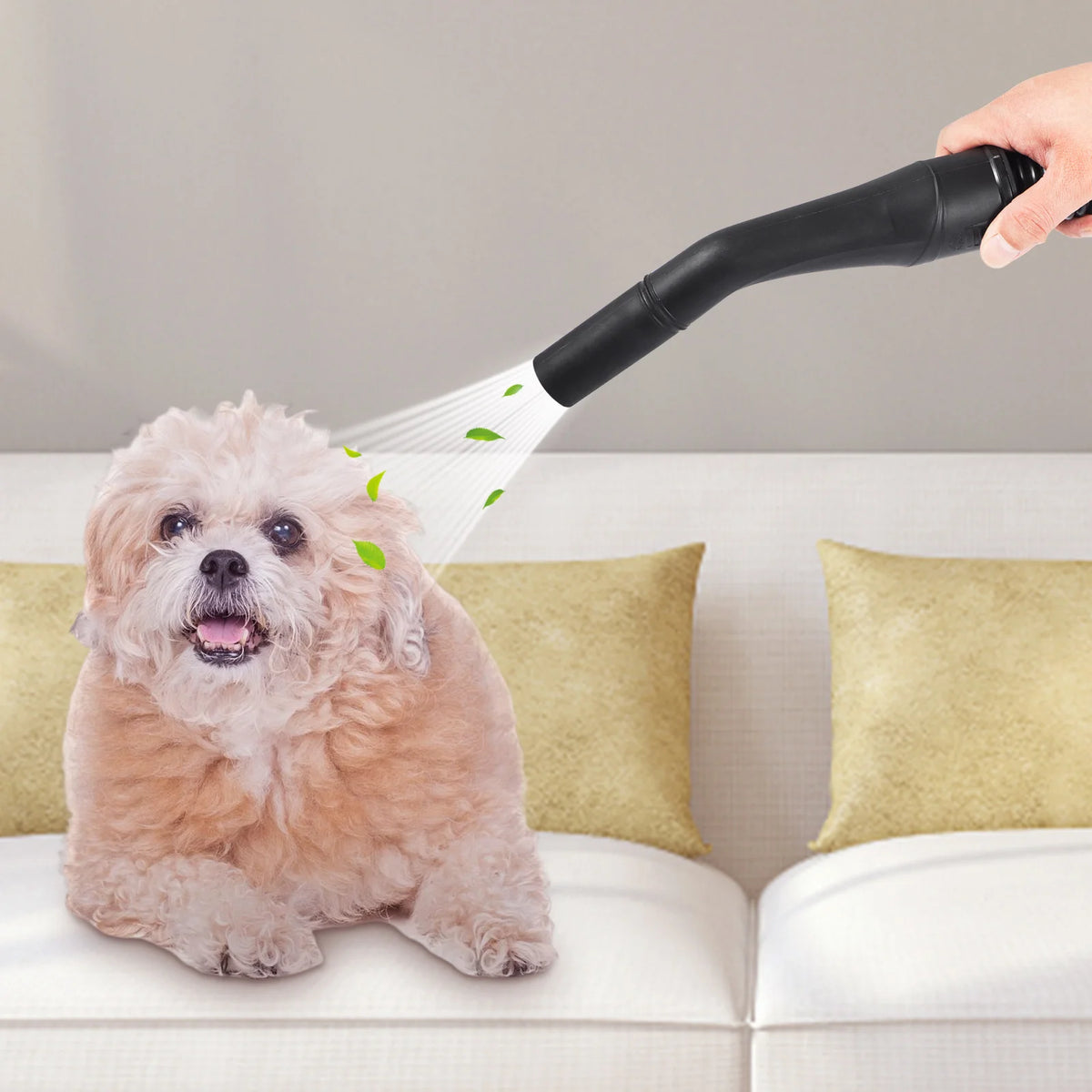 Succebuy Portable Wet Dry Shop Vacuum With Integrated Blower