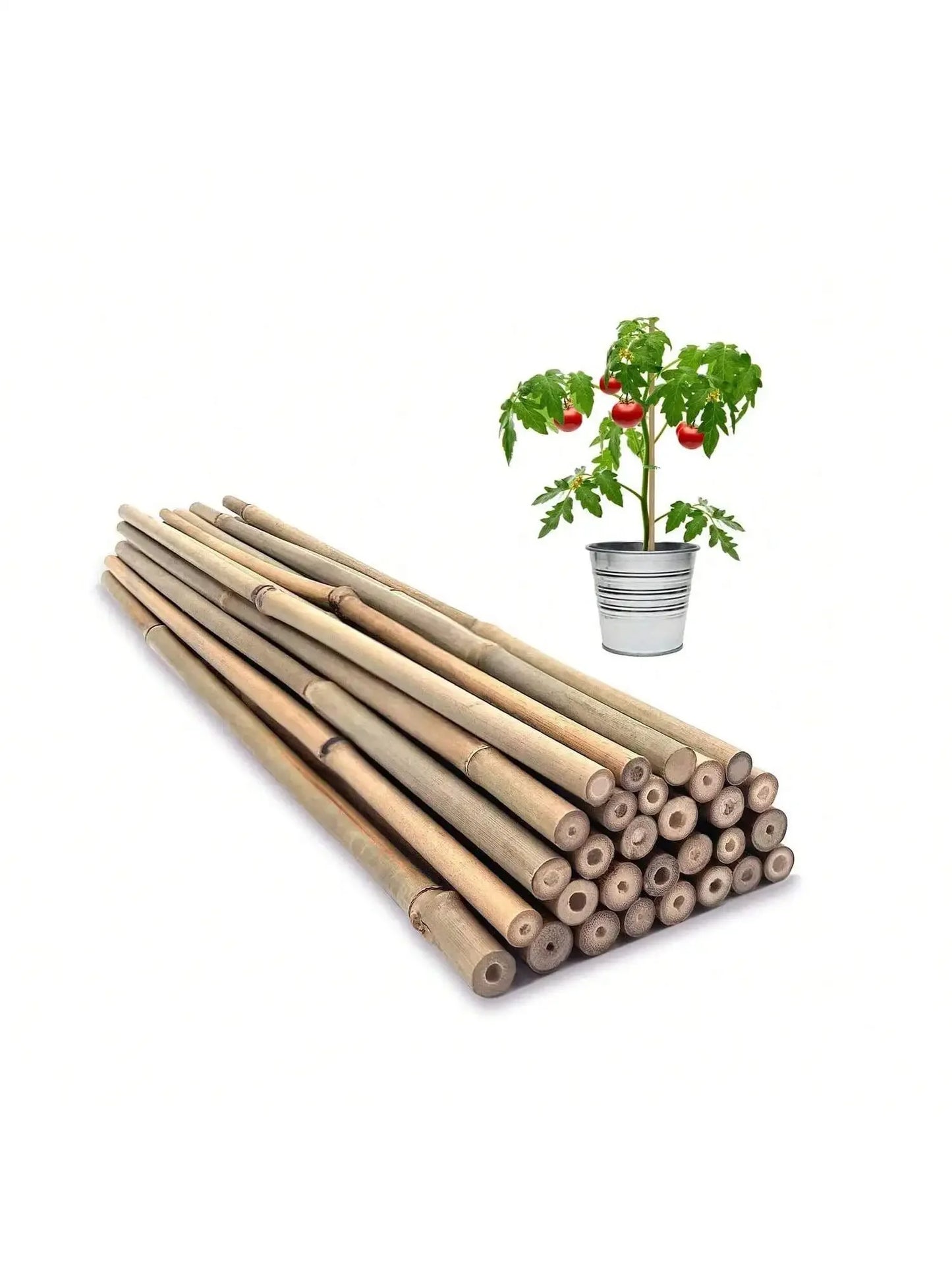 Eco Bamboo Garden Stakes Set Of 20 For Climbing Plants
