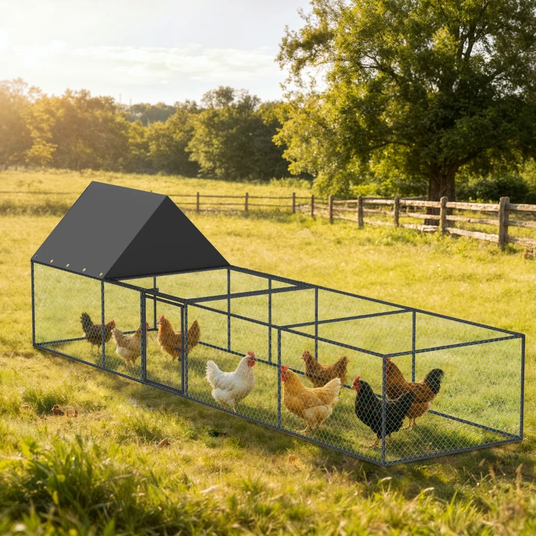 BORWART Chicken Coop Cage Outdoor Poultry Pen With Nylon Netting