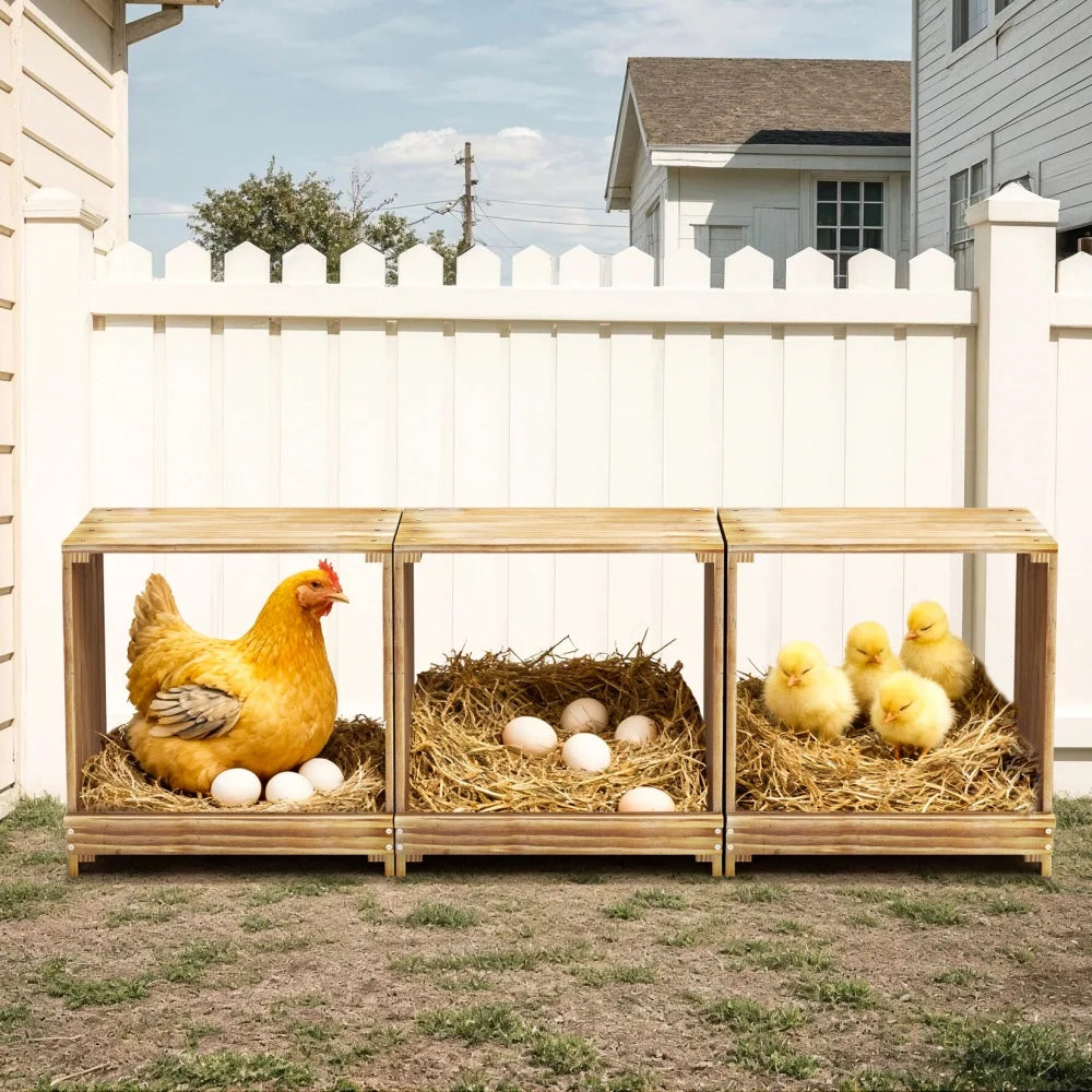 Pine Wood Three Compartment Chicken Nesting Box Easy Egg Collection