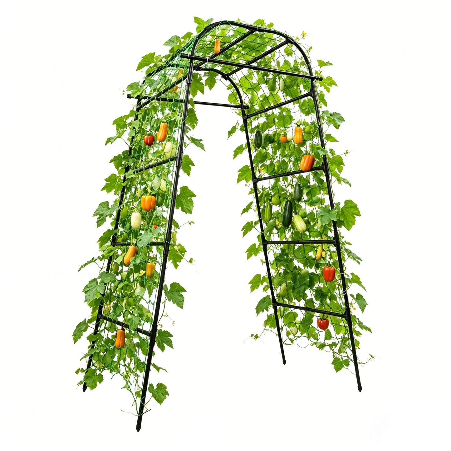 Metal Garden Arch Trellis For Climbing Plants Outdoor Indoor