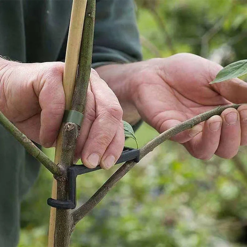 Fruit Tree Branch Puller Plant Vines Support Clips Twisting Shapers  Twist Styling Bonsai Curved Elbow Garden Too