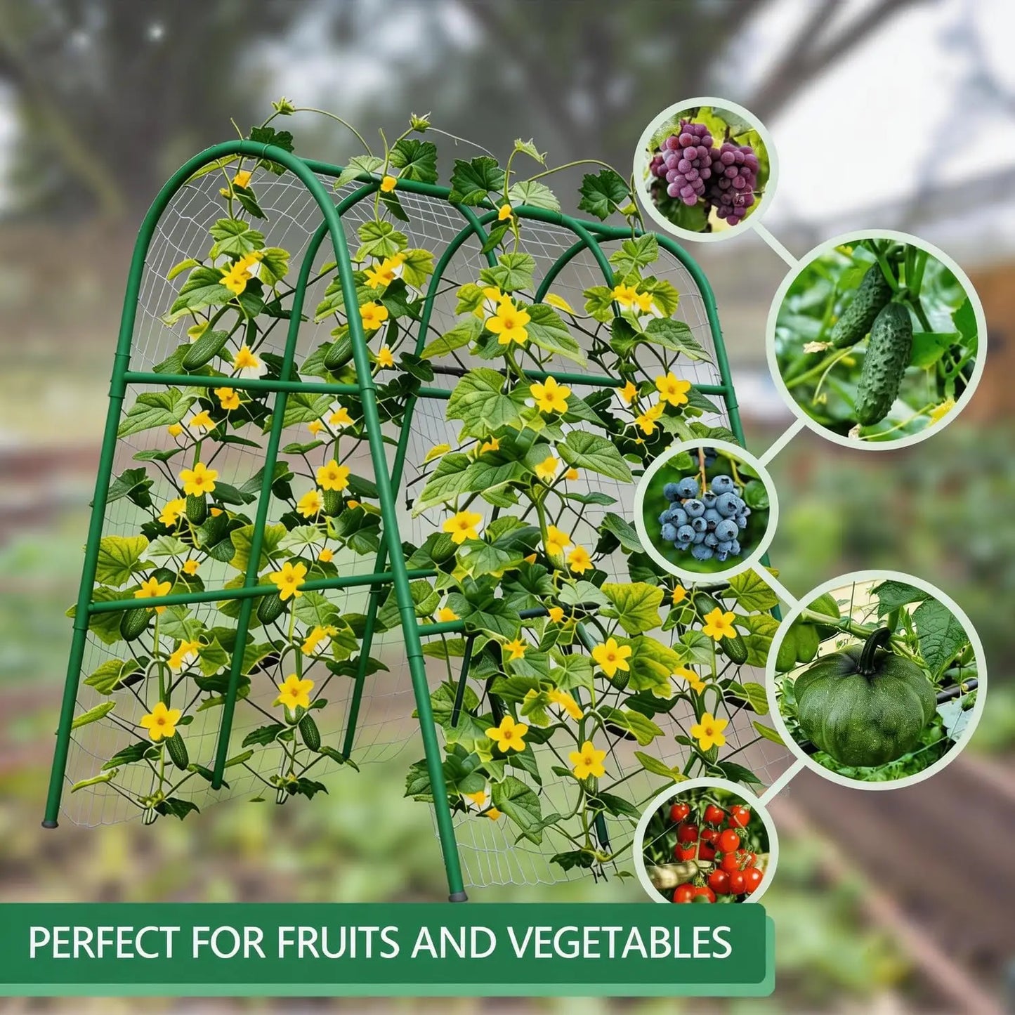 HiMISS Garden Arch Trellis For Raised Beds Plant Support