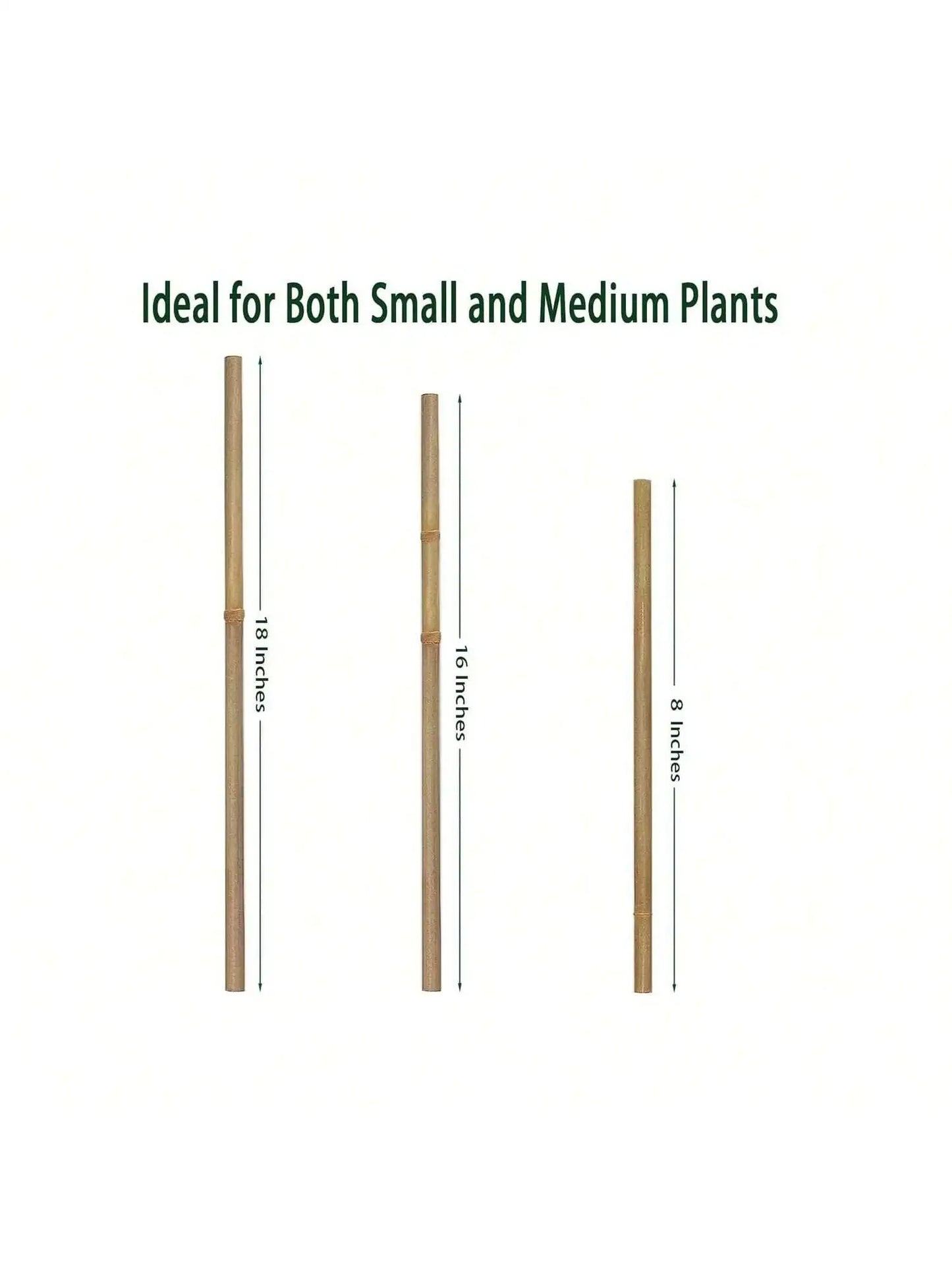 Eco Bamboo Garden Stakes Set Of 20 For Climbing Plants