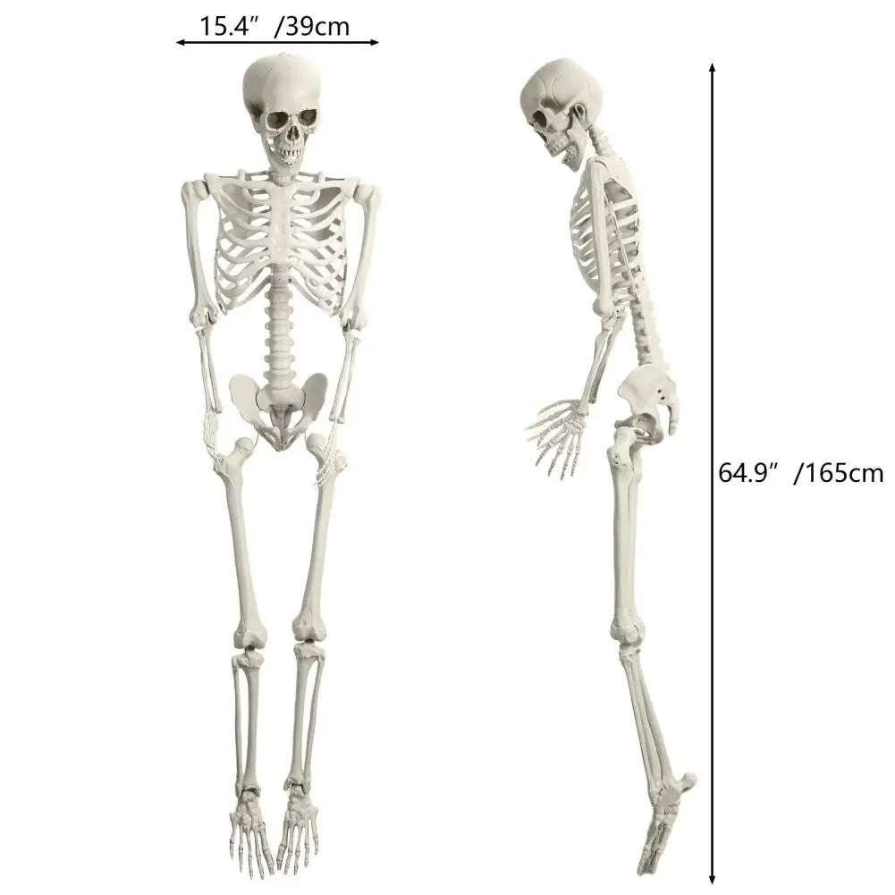 Artistic Poseable Plastic Skeleton Halloween Decorative Party Prop