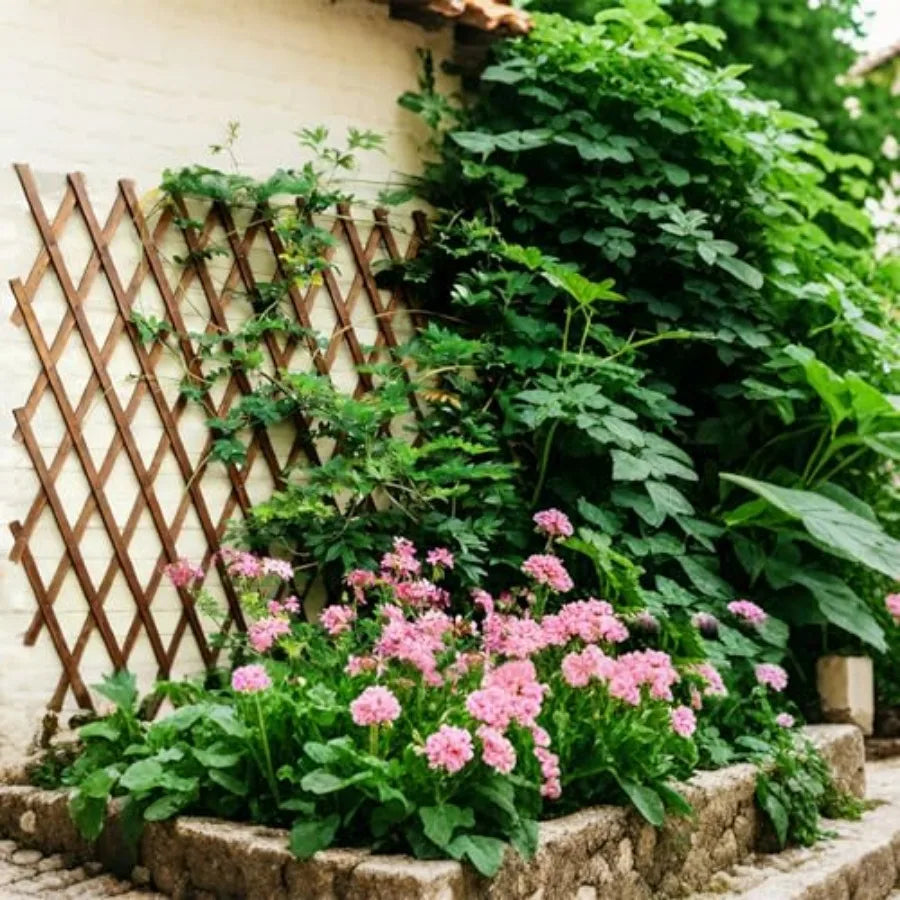 Expandable Wooden Garden Trellis Lattice Fence Panel For Climbing Plants
