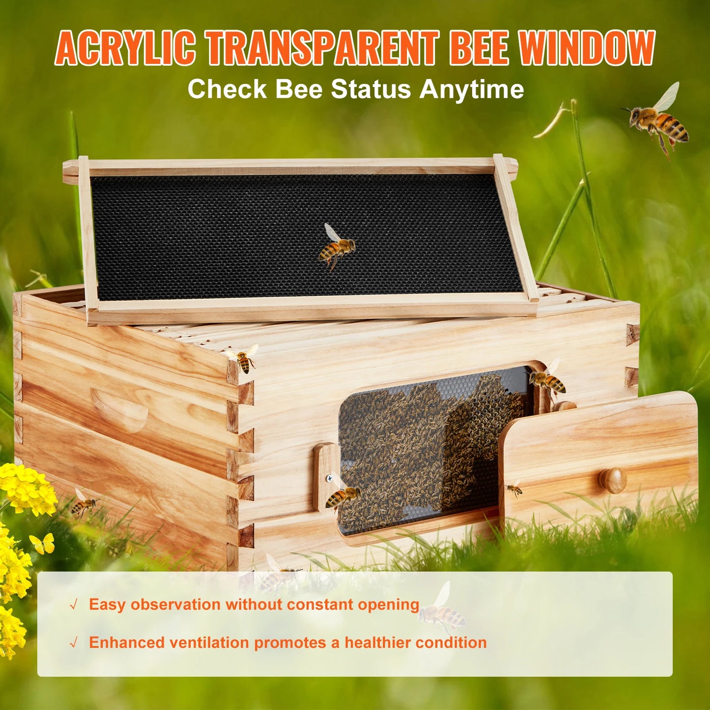 SucceBuy Cedar Bee Hive Langstroth Starter Kit With Acrylic Windows