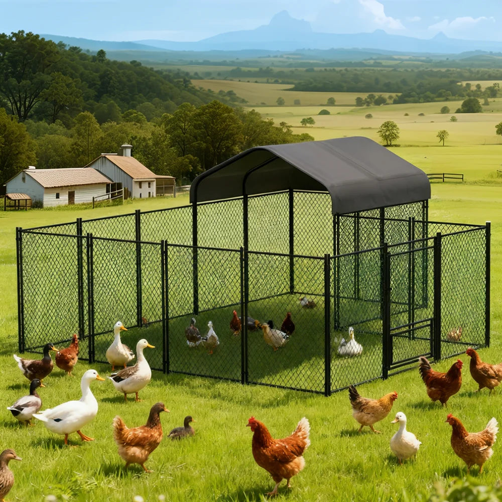 BORWART Heavy Duty Walk In Chicken Coop With UV Cover