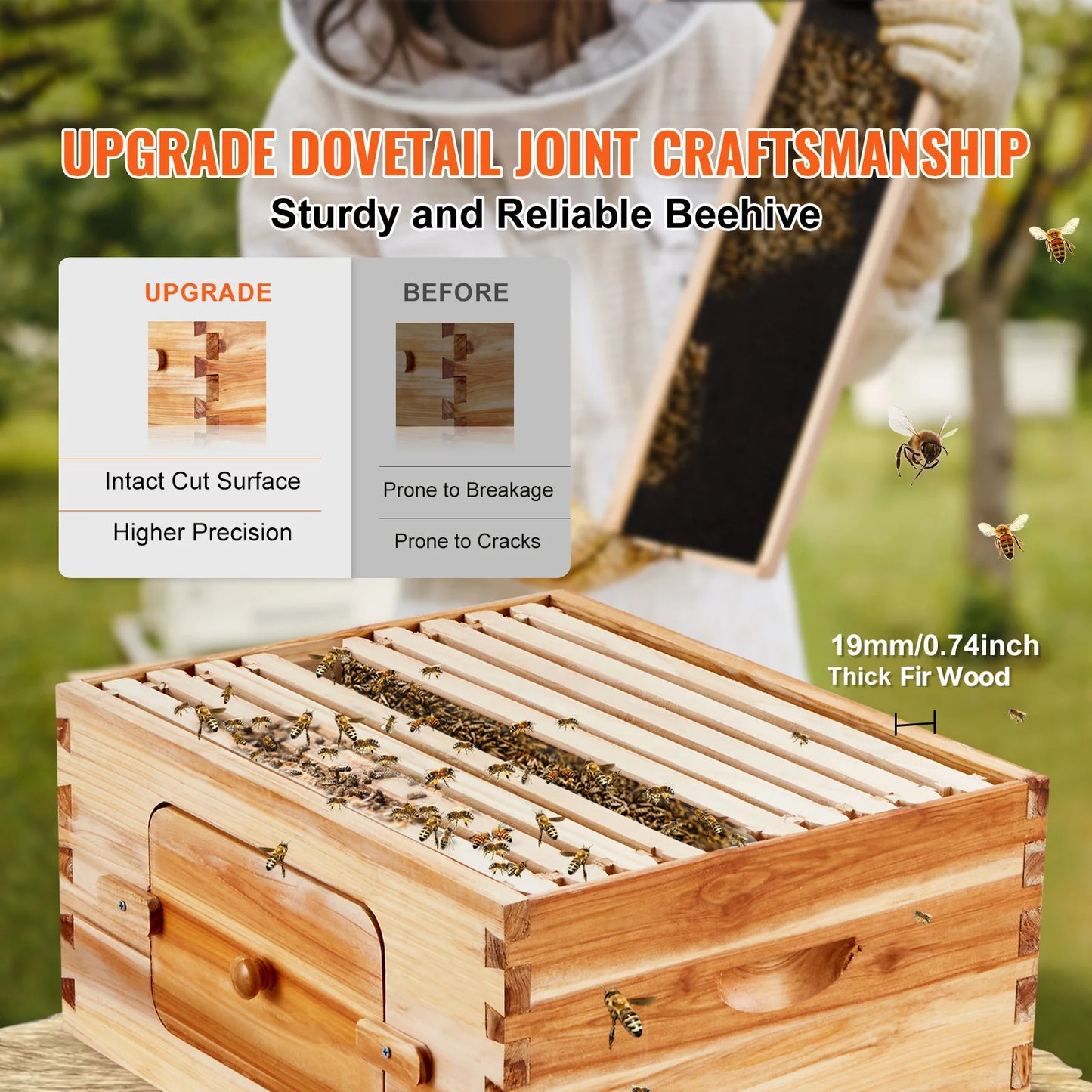 SucceBuy Cedar Bee Hive Langstroth Starter Kit With Acrylic Windows
